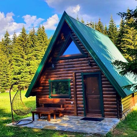 Villa Rajska Suma Žabljak Exterior foto