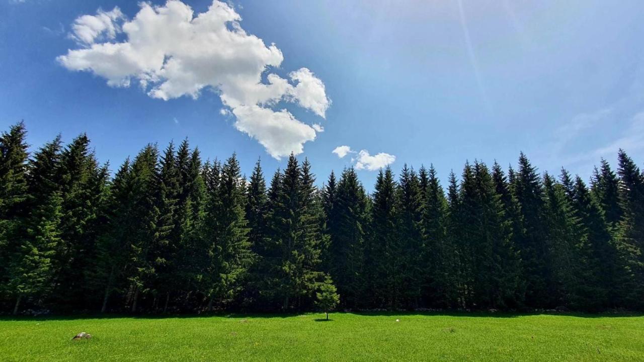 Villa Rajska Suma Žabljak Exterior foto