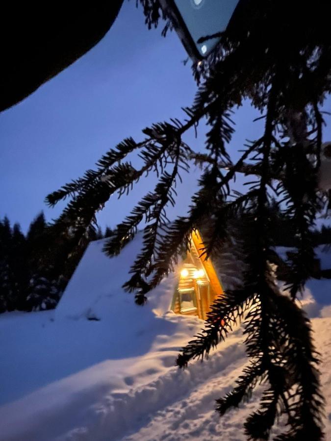 Villa Rajska Suma Žabljak Exterior foto