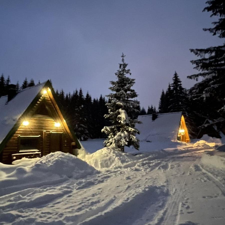 Villa Rajska Suma Žabljak Exterior foto